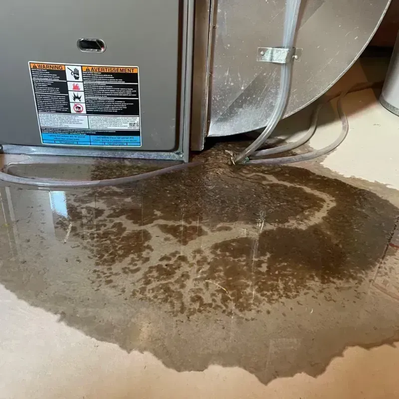 Appliance Leak Cleanup in Cazenovia, NY